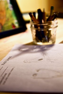 Santa Cruz Museum of Natural History by null