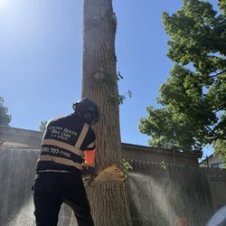 Golden Roots Tree Care