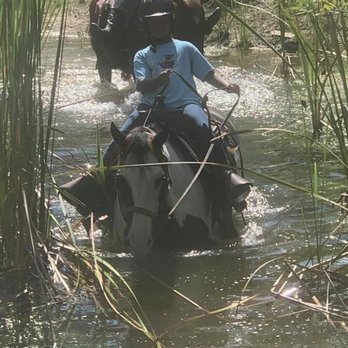 5 Star Stables - Horseback Riding Near Me - North Fort Myers, Florida 5 Star Stables - Horseback Riding Near Me - North Fort Myers, Florida