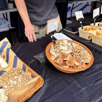 South Pearl Street - Farmers Market Near Me - Denver, Colorado South Pearl Street - Farmers Market Near Me - Denver, Colorado