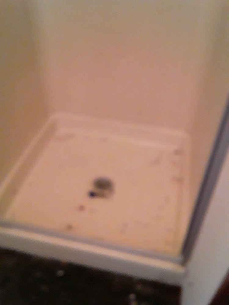 TWO GIRLS AND A MOP Updated September 2024 Knoxville, Tennessee