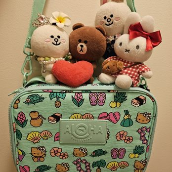 Aloha Collection - We got the lunch bag! - Accessories Near Me - Honolulu, Hawaii