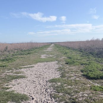 Paynes Prairie Preserve State Park - Open range area - Parks Near Me - Micanopy, Florida