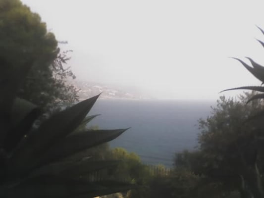 Giardini Botanici Hanbury by null