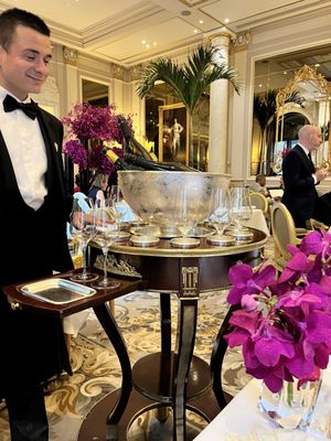 Le Cinq by null