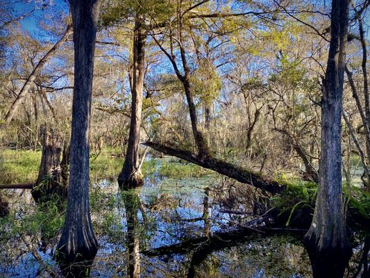 Kirby Storter Roadside Park by null