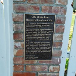 Plaque