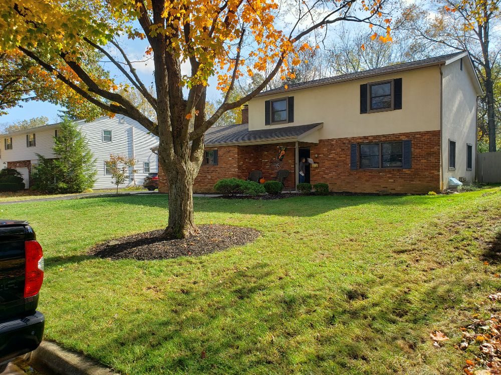 Miguel’s Lawn Service - tree service in Columbus, OH