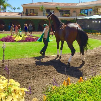 Del Mar Racetrack - Fantastic Beast! - Race Tracks Near Me - Del Mar, California Del Mar Racetrack - Fantastic Beast! - Race Tracks Near Me - Del Mar, California