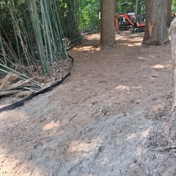 New Jersey Bamboo Landscaping - Invasive Bamboo Barrier Around Mature Trees