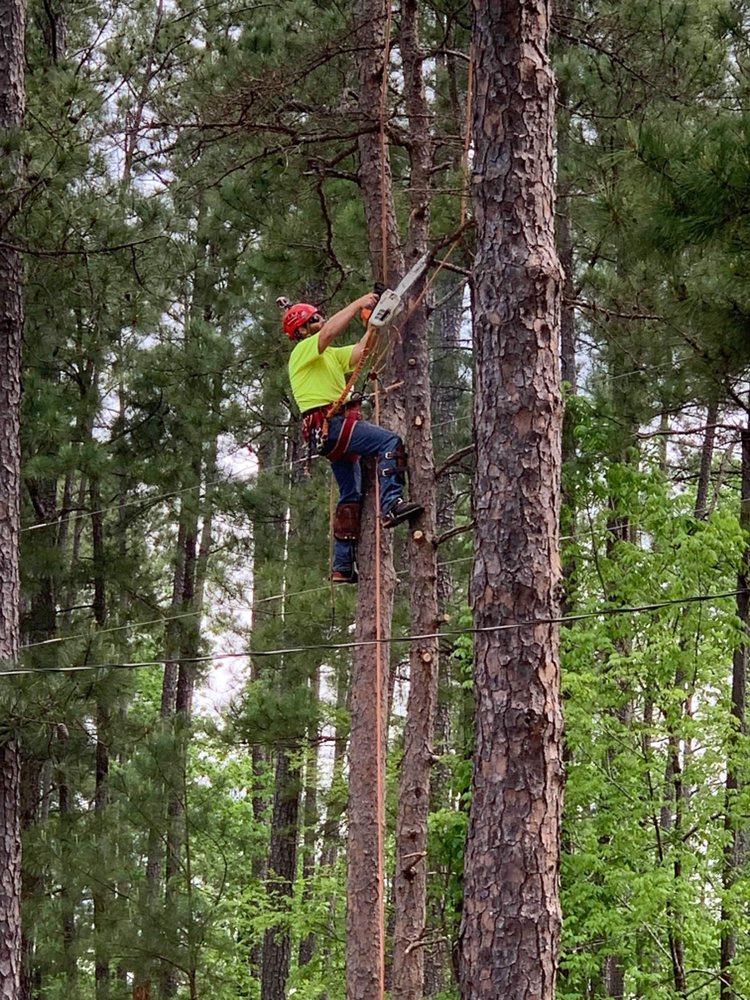 JD HUNTS TREE SERVICE Warner Robins, Tree Services Phone