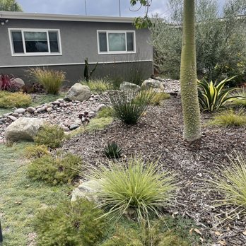 Blume Design Studio - A lawn was replaced with a great low water use garden full of color and texture! - Landscape Architects or Designers Near Me