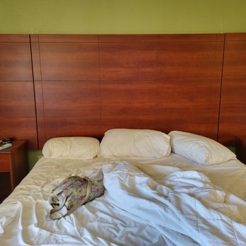 Baymont by Wyndham Paducah - Can I get a bedside lamp if I pay extra? - Hotels Near Me - Paducah, Kentucky