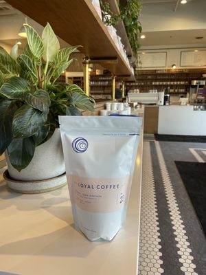 Loyal Coffee by null