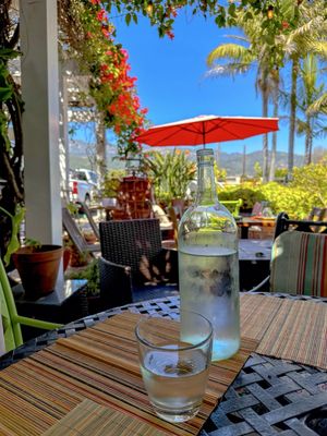 Thario's Kitchen by null