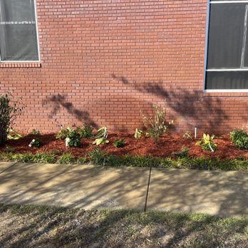 Yates Land Management - Lawn Services Near Me - Chipley, Florida