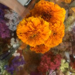 Travis Wholesale Florists 24 Photos 33 Reviews Florists 240 W Josephine St San Antonio Tx Phone Number Yelp