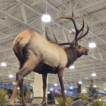 Bass Pro Shop - Half of the store is for fishing, the other half for hunting supplies. - Outdoor Gear Near Me - Tualatin, Oregon