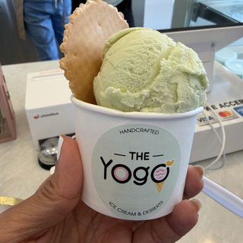 The Yogo - honey avocado - Desserts Near Me - San Diego, California The Yogo - honey avocado - Desserts Near Me - San Diego, California