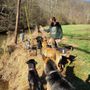 Photo of Harmony Acres