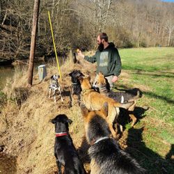 Harmony Acres - Group training