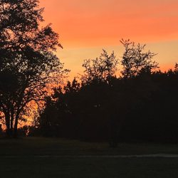 Wilderness Therapy Retreats