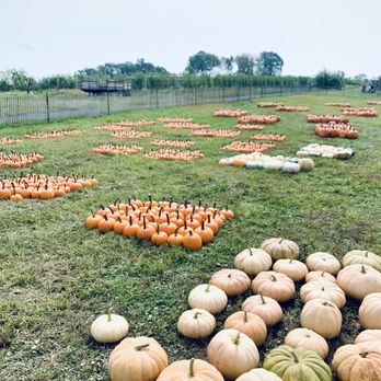 Outhouse Orchards - Fruits & Veggies Near Me - North Salem, New York