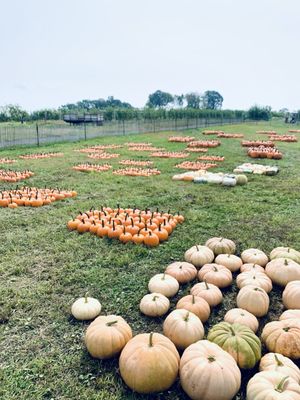 Outhouse Orchards by null