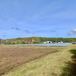 Fresh From The Vine - Cranberry Bog