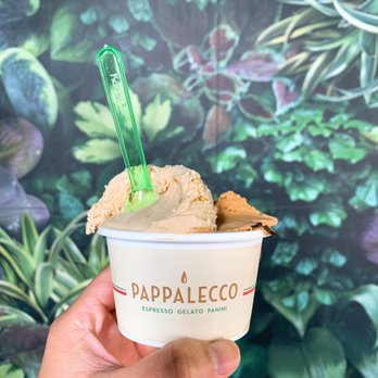 Pappalecco - Medium sized cup = 3 scoops - Sandwiches Near Me - San Diego, California Pappalecco - Medium sized cup = 3 scoops - Sandwiches Near Me - San Diego, California