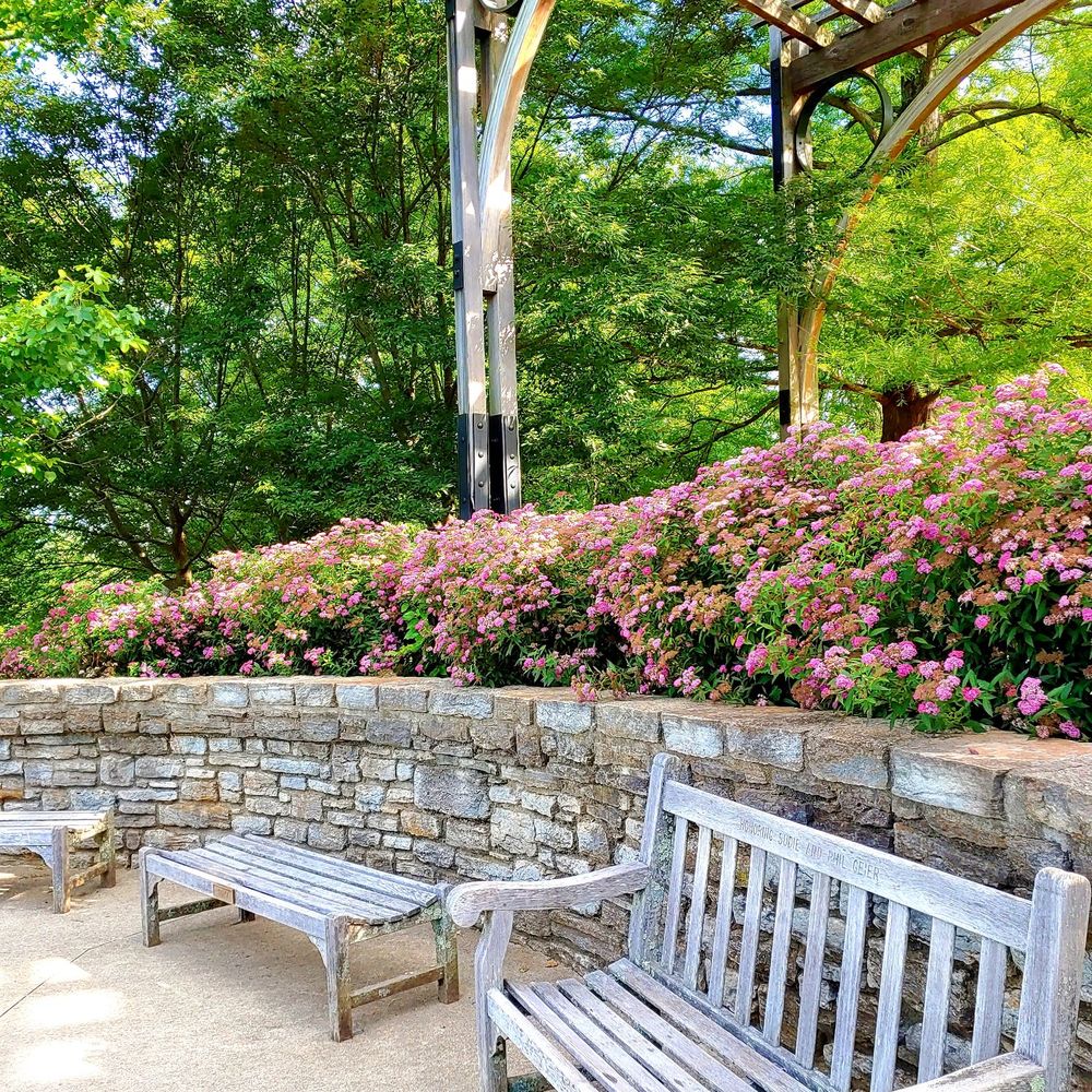 Alms Park - Benches so you may sit and enjoy the view. Each is in memory of someone. - Parks Near Me - Cincinnati, Ohio Alms Park - Benches so you may sit and enjoy the view. Each is in memory of someone. - Parks Near Me - Cincinnati, Ohio