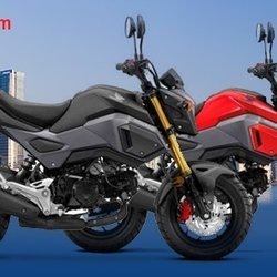 Honda Sports Center - Honda Grom