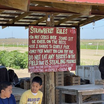 Southern Hill Farms - Play by the rules, m'kay?? - Fruits & Veggies Near Me - Clermont, Florida Southern Hill Farms - Play by the rules, m'kay?? - Fruits & Veggies Near Me - Clermont, Florida