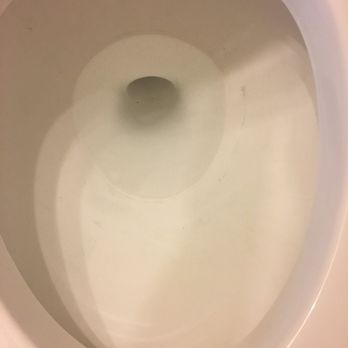 Check Maid Cleaning Services - Scummy toilets post cleaning - Home Cleaning Near Me - Houston, Texas