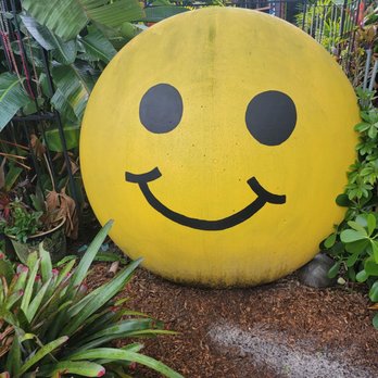 Whimzeyland - Art Tours Near Me - Safety Harbor, Florida Whimzeyland - Art Tours Near Me - Safety Harbor, Florida