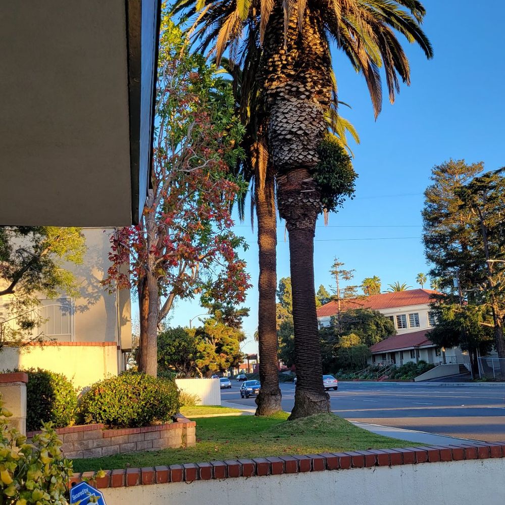 Dr. Julie Park, DDS 3655 Lomita Blvd, # 201, Torrance, CA 90505 - Last  Updated January 2026 - Yelp