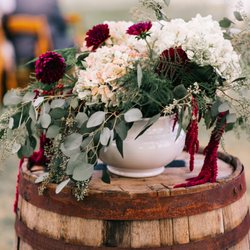 Savy Social - Sarah Libby Photography