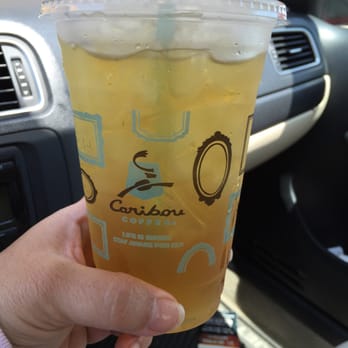 Caribou Coffee - Iced tea - Coffee & Tea Near Me - Kenly, North Carolina Caribou Coffee - Iced tea - Coffee & Tea Near Me - Kenly, North Carolina