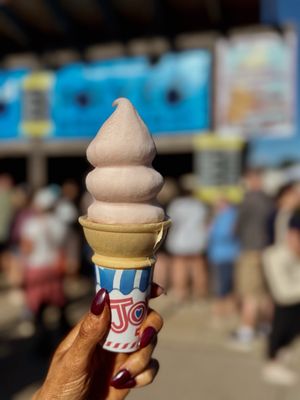 Minnesota State Fair by null