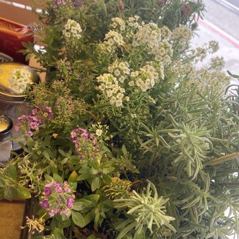Chad's - Flower box at the table. They also have inside seating. - Breakfast & Brunch Near Me - Santa Barbara, California Chad's - Flower box at the table. They also have inside seating. - Breakfast & Brunch Near Me - Santa Barbara, California