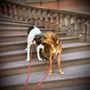 Photo of World of Animals At Rittenhouse