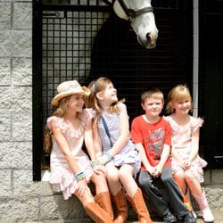 Taylor Made Farm - Daily Farm Tours at Taylor Made www.visithorsecountry.com