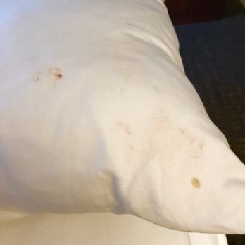 Marriott at Research Triangle Park - Disgusting bodily fluids we found on our pillowcase when we checked in! - Hotels Near Me - Durham, North Carolina