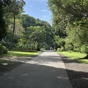Toa Luau - The botanical gardens leading to Waimea Waterfall. - Cultural Center Near Me - Haleiwa, Hawaii Toa Luau - The botanical gardens leading to Waimea Waterfall. - Cultural Center Near Me - Haleiwa, Hawaii