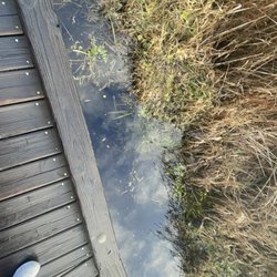 North Creek Park