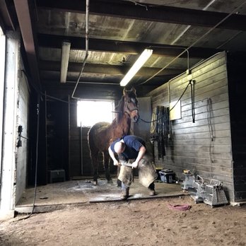 Lukens Stables - Horseback Riding Near Me - Ravena, New York
