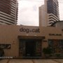 Photo of Dog & Cat