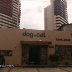 Dog & Cat - Dog & Cat