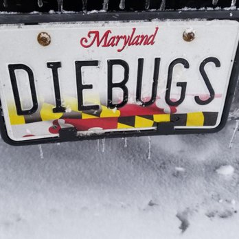 Budget Bugs - Pest Control Near Me - Frederick, Maryland Budget Bugs - Pest Control Near Me - Frederick, Maryland