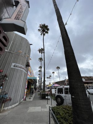 Ocean Beach Farmers Market by null